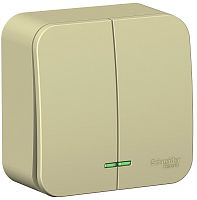 Выключатель с подсветкой накладной Systeme Electric Blanca 2-кл. бежевый картинка